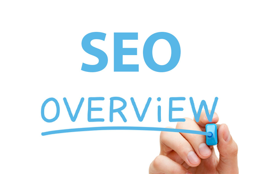 Dịch vụ SEO Quận 1 Hồ Chí Minh &#8211; Tăng trưởng Organic Search