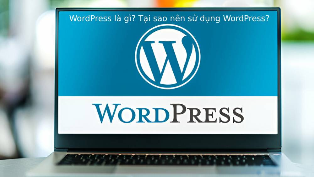 Wordpress là gì hướng dẫn wordpress và những lưu ý quan trọng nhất về WordPress